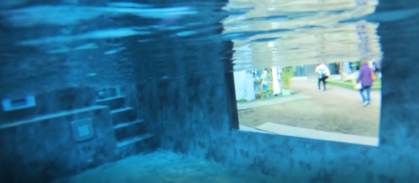 Piscine container vitrée couverte